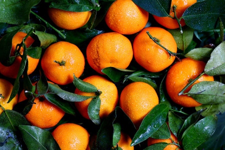 Delicious Fresh Oranges Food Background