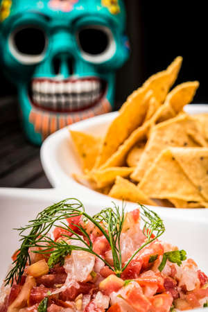 Nachos and salsaの写真素材