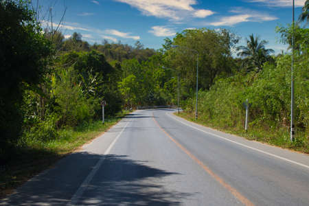 This unique photo shows a country road which runs through the wild jungle of Thailand and ends with a right turn. You can see the green nature on the edgeの写真素材