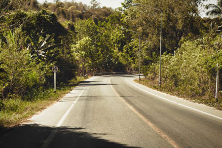 This unique photo shows a country road which runs through the wild jungle of Thailand and ends with a right turn. You can see the green nature on the edgeの写真素材