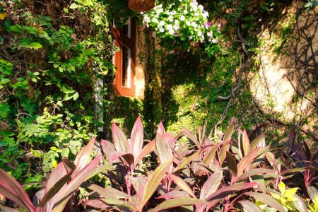 This unique photo shows a beautifully overgrown house wall with a window. A very fairytale scenery. This picture was taken in Thailandの写真素材