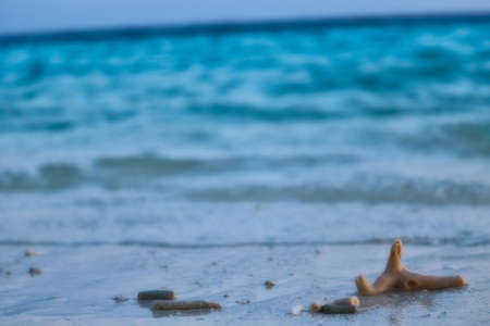 This unique image shows the natural beach of a Maldivian island where coral pieces from the sea have been touchedの写真素材
