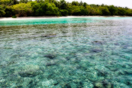 This unique image shows the coral with clear water in front of an island in the Maldivesの写真素材