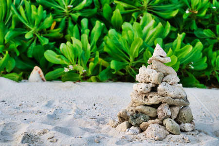 This picture shows a stone pyramid with lush green plants in the background. The pyramid was built...