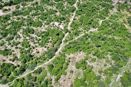 This unique photo shows the landscape of Thailand from above with trees and dirt roads! the picture was taken in Hua Hin with a droneの写真素材