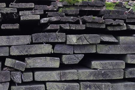 natural wood background (texture from old firewood) の写真素材