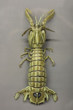  creature from national museum in Pragueの写真素材