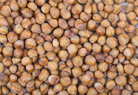 the abstract bakground from many hazel nuts
