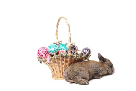 easter decoration isolated on the white background の写真素材