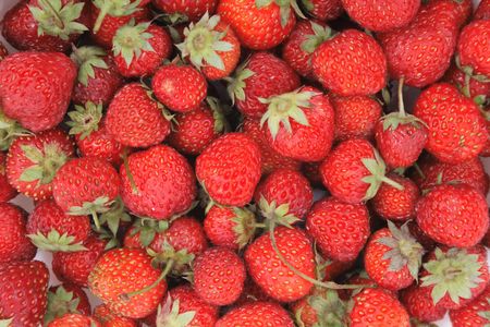 strawberries as very nice red natural food backgroundの写真素材