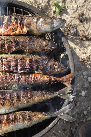fresh grilled fishes as natural food backgroundの写真素材