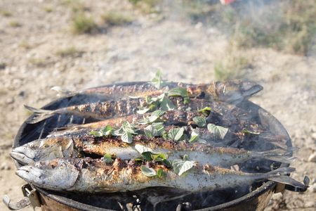 fresh grilled fishes as natural food backgroundの写真素材