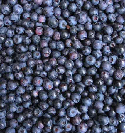 very nice fresch blueberries natural food  background の写真素材