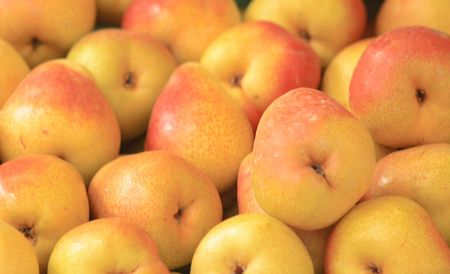 yellow pears as very nice food natural backgroundの写真素材