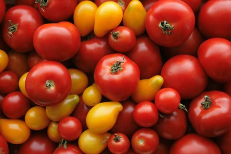 red and yellow tomatoes background as vegetable backgroundの写真素材