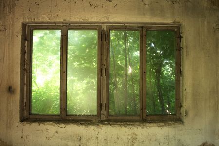 nice windows of old house with green background behind this の写真素材