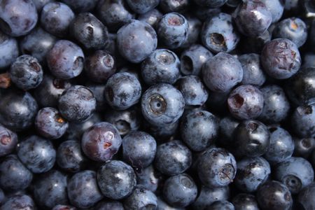 fresh blueberries as very nice food backgroundの写真素材