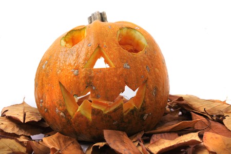 halloween pumpkin isolated on the white backgroundの写真素材