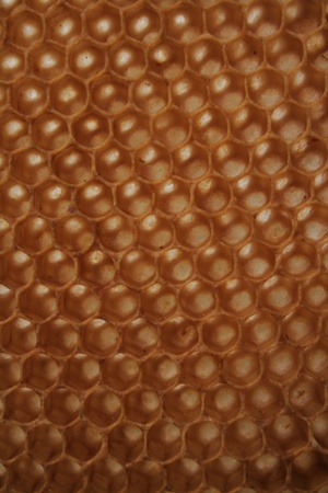 beeswax wirhout honey as very nice natural background