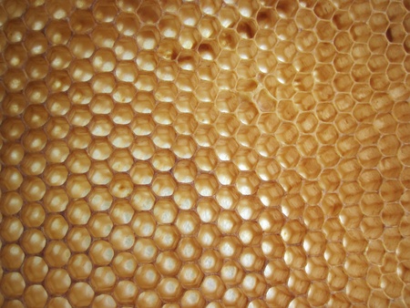 empty honey texture as nice bee backgroundの写真素材