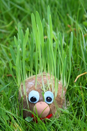 home made spring face with grass hairの写真素材