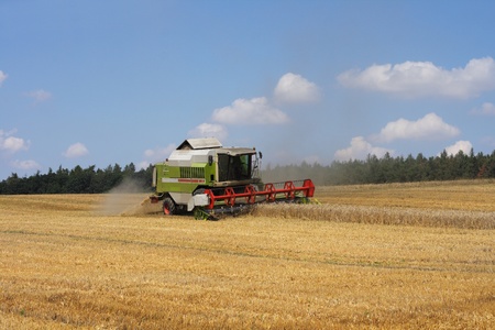 combine and harvesting of corn on the czech farm の写真素材