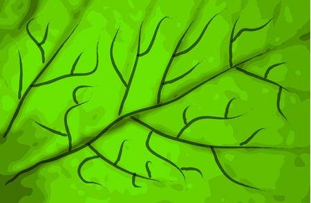 green leaf texture as nice natural background 