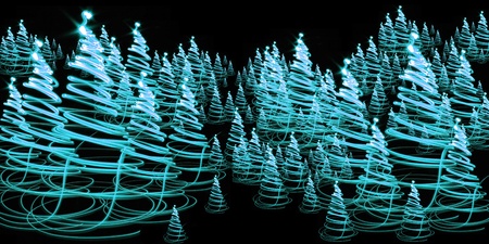 christmas forest as very nice holiday background の写真素材