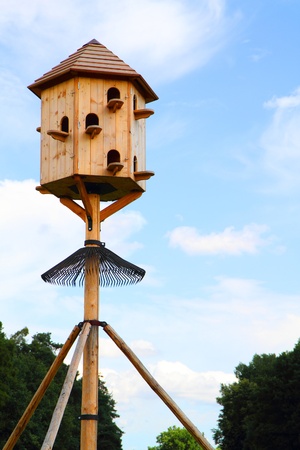 birds home and blue sky behind it の写真素材