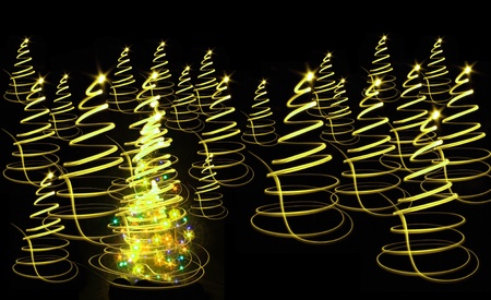 christmas forest as very nice holiday background の写真素材