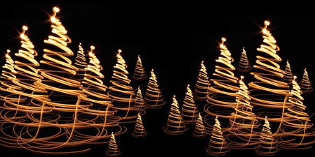 christmas forest as very nice holiday background の写真素材
