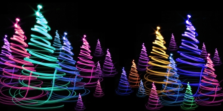 christmas forest as very nice holiday background の写真素材