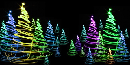 christmas forest as very nice holiday background の写真素材