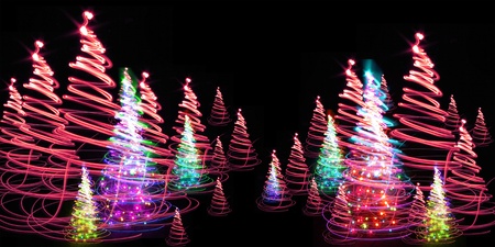 christmas forest as very nice holiday background の写真素材