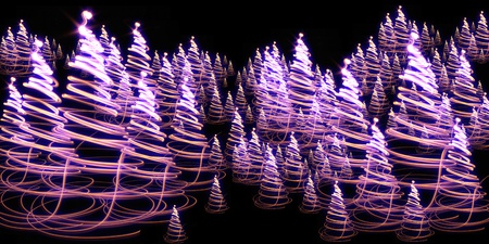 christmas forest as very nice holiday background の写真素材