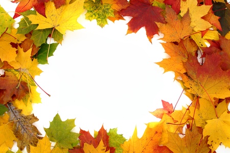 nice autumn color background from old leaves の写真素材