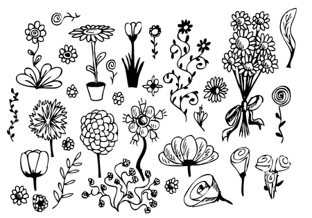 hand drawn flowers isolated on the white backgroundのイラスト素材