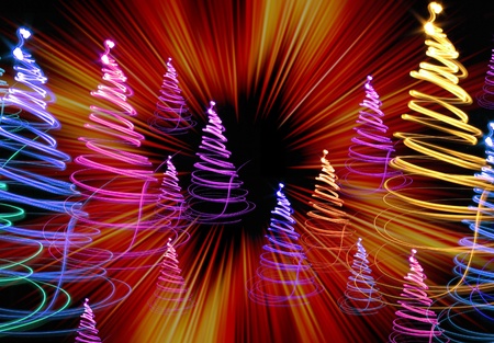 xmas tree (forest) on the color backgroundの写真素材