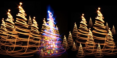 xmas tree (forest) on the color backgroundの写真素材