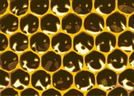 nice honeycomb texture with sweet honey as natural backgroundのイラスト素材