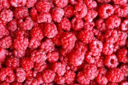 very nice fresh red raspberries background の写真素材
