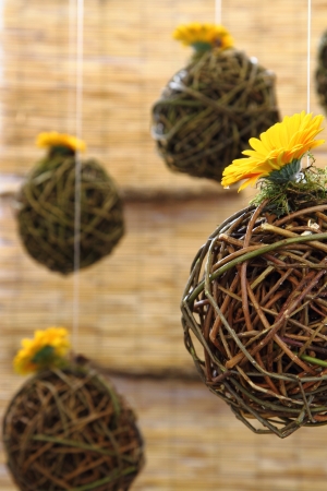 nice spring flowers decoration with the ballsの写真素材