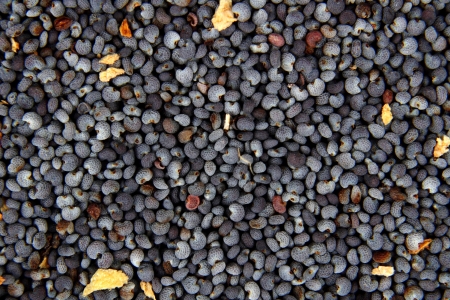 detail of poppy as nice food backgroundの写真素材