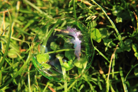 bubble in the green grass as nice natural background
