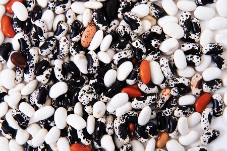 many color beans as nice natural background