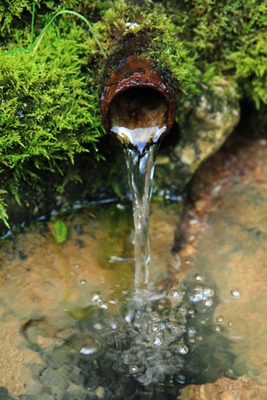 old fountain in the green moss  natural fresh water 