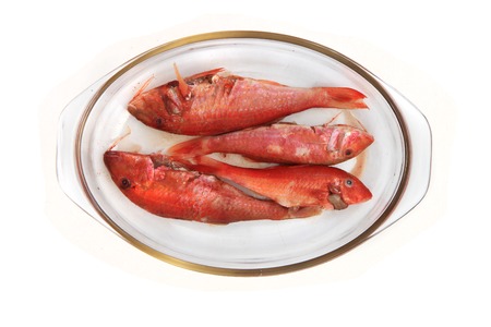 raw redfishes isolated on the white background