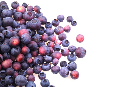 fresh blueberries isolated on the white background