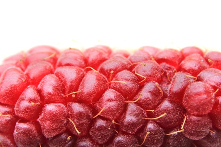 raspberry detail isolated on the white backgroundの写真素材