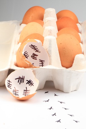 empty egg shells isolated on the white background